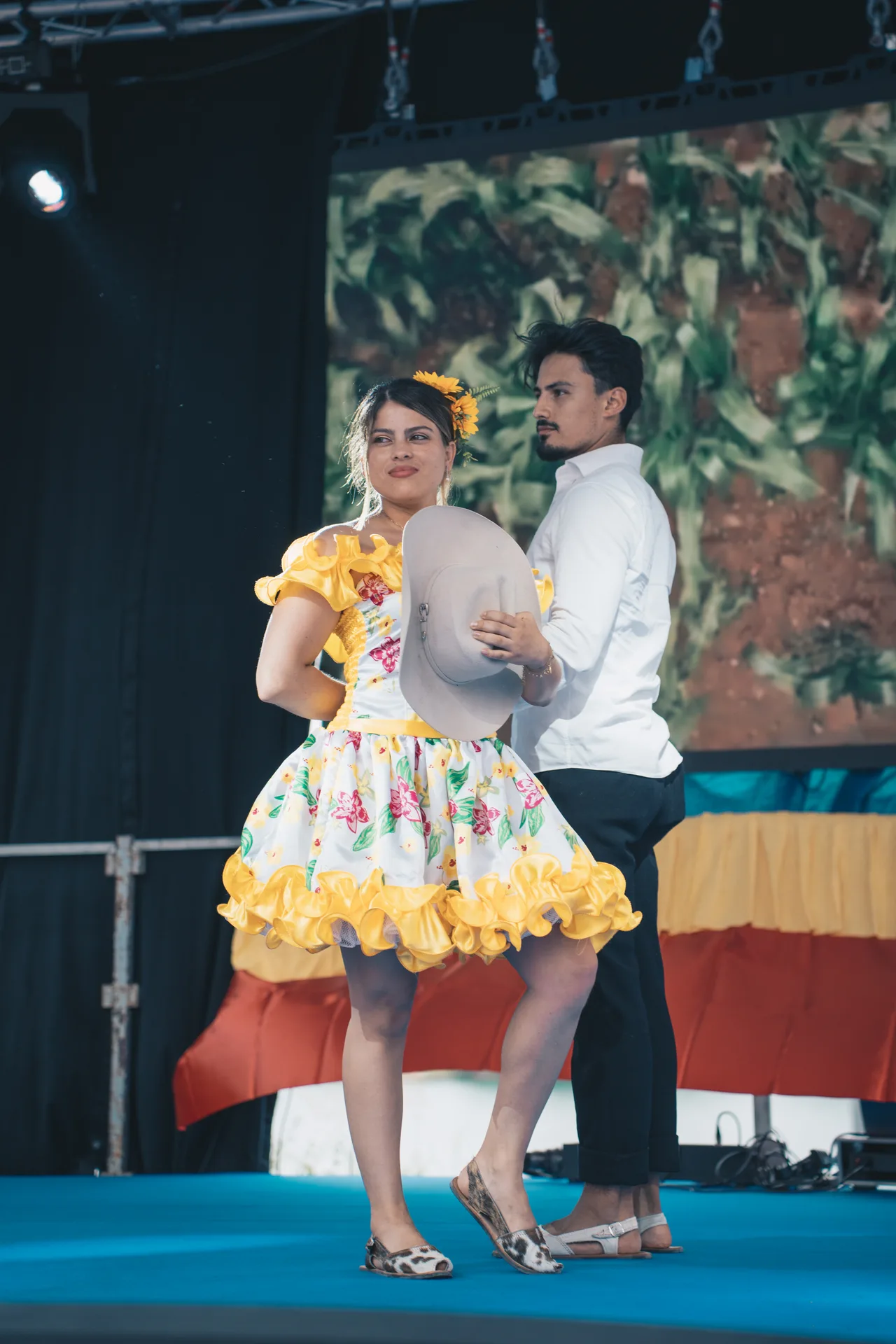 Foto 1 de DANZAS